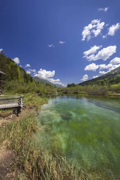 Spring Landscape Zelenci Slovenia — Stock fotografie