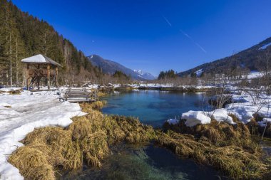 Slovenya 'nın Zelenci kentindeki kış manzarası