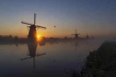 Hollanda 'nın Kinderdijk şehrinde güneş doğmadan hemen önce renkli gökyüzü olan geleneksel Hollanda yel değirmenleri