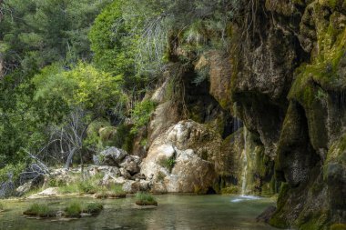 Cuenca, Castilla La Mancha, İspanya 'daki Cuervo Nehri (Nacimiento del Rio Cuervo) pınarı