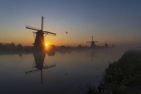Traditional Dutch Windmills Colourful Sky Just Sunrise Kinderdijk Netherlands — стоковое фото