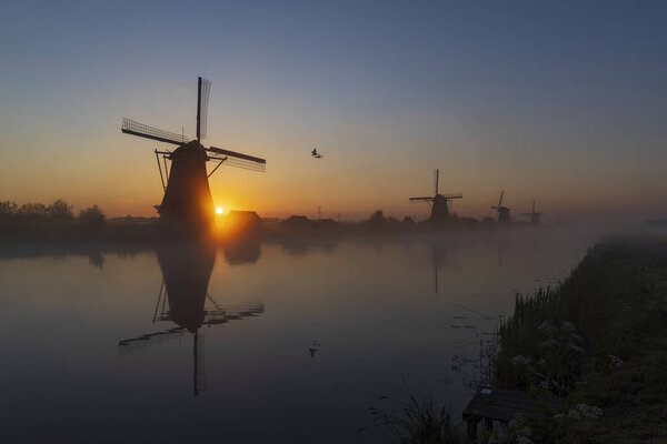 Traditional Dutch windmills with a colourful sky just before sunrise in Kinderdijk, The Netherlands