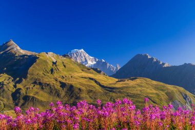 Col du Petit-Saint-Bernard yakınlarındaki manzara Mont Blanc ile Fransa ve İtalya sınırında