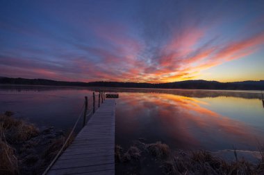 Doğa rezervi Olsina, Sumava Ulusal Parkı, Çek Cumhuriyeti