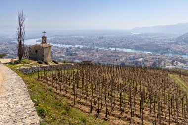 Grand cru vineyard and Chapel of Saint Christopher, Tain l'Hermitage, Rhone-Alpes, France