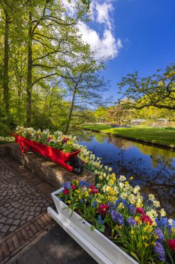 Keukenhof flower garden - largest tulip park in world, Lisse, Netherlands