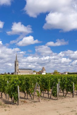 Pomerol, Aquitaine, Fransa yakınlarındaki tipik üzüm bağları