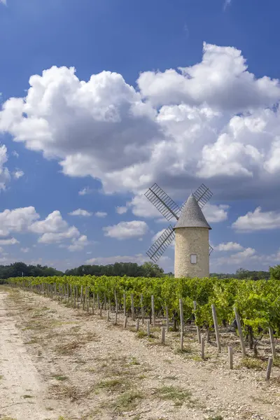 带有Lamarque风车 Haut Medoc Bordeaux Aquitaine的葡萄园 — 图库照片