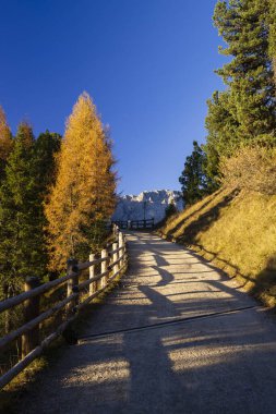 Peitlerkofel Mountain, Dolomiti near San Martin De Tor, South Tyrol, Italy