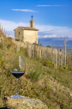 Grand cru vineyard and Chapel of Saint Christopher, Tain l'Hermitage, Rhone-Alpes, France