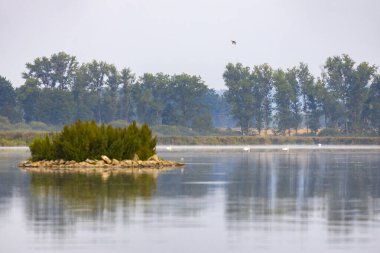 Trebon 'daki Svet Gölü, Güney Bohemya, Çek Cumhuriyeti