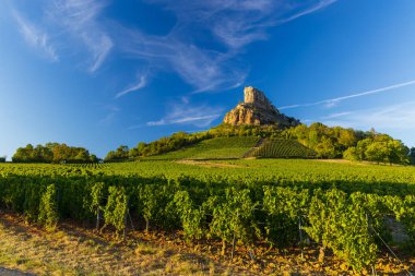 Üzüm bağı olan Solutre Kayası, Burgundy, Solutre-Pouilly, Fransa