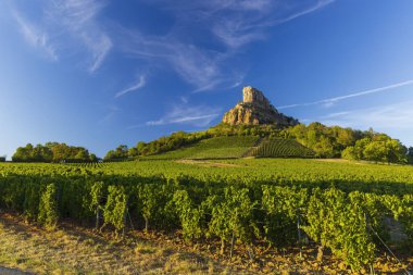 Rock of Solutre with vineyards, Burgundy, Solutre-Pouilly, France clipart
