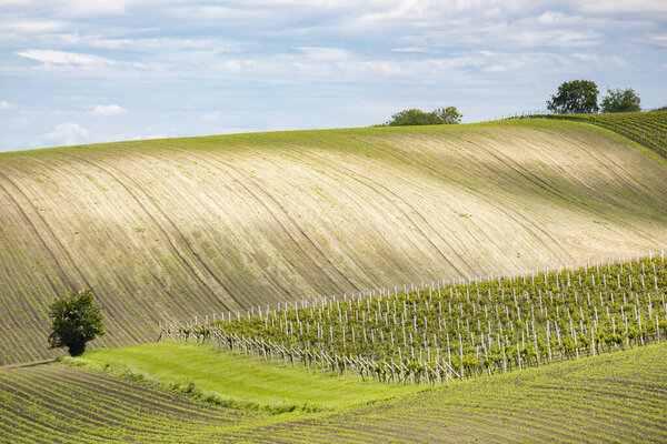 ландшафт Моравской Тосканы, Чехия