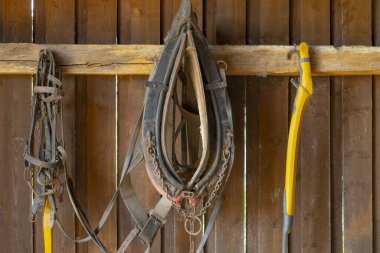 Old country farm, Moravska Nova Ves, Southern Moravia, Czech Republic