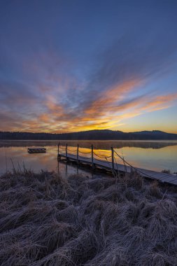 Doğa rezervi Olsina, Sumava Ulusal Parkı, Çek Cumhuriyeti