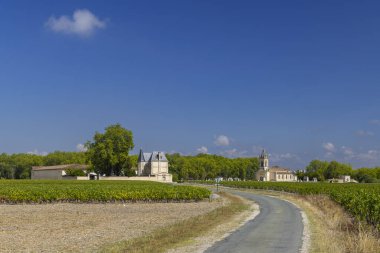 Margaux yakınlarındaki üzüm bağları (Chateau Margaux), Bordeaux, Aquitaine, Fransa