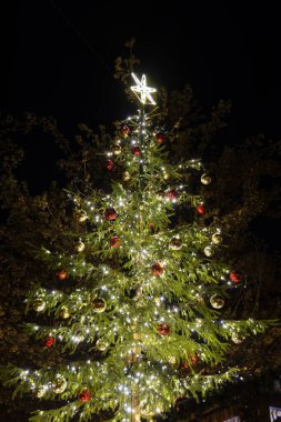 Prag'da Noel ağacı, Çek Cumhuriyeti