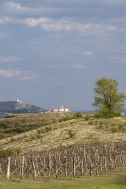 Palava ve Mikulov kasabalarında bahar manzarası, Güney Moravya, Çek Cumhuriyeti