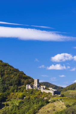 Hinterhaus Kalesi kalıntıları (Ruine Hinterhaus), Spitz, Wachau, UNESCO sitesi, Aşağı Avusturya, Avusturya