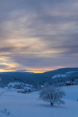 Mala Upa, Krkonose Ulusal Parkı, Doğu Bohemya, Çek Cumhuriyeti