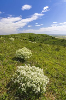 Dolni Dunajovice yakınlarındaki Palava manzarası, Güney Moravya, Çek Cumhuriyeti