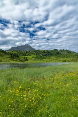 Kalbelesee yakınlarındaki manzara, Hochtann Dağı Geçidi, Warth, Vorarlberg, Avusturya