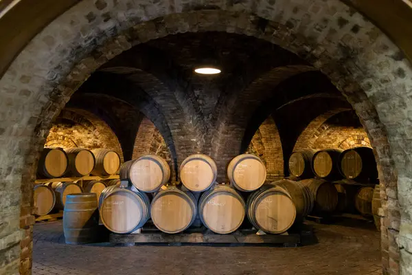 Wine Barrels Cellar Szekszard Hungary — Stock Photo, Image