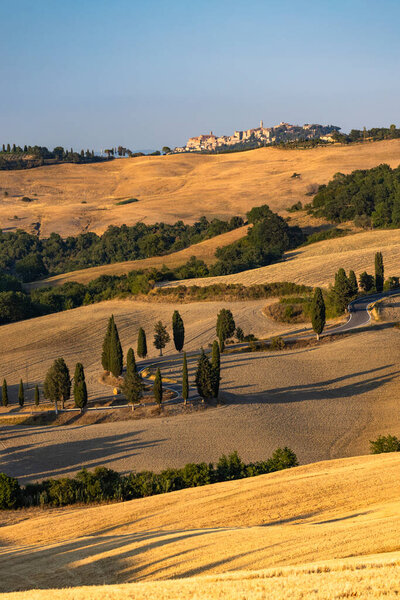 Cipressi di Monticcho, тосканский пейзаж недалеко от Монтепульчано, Италия