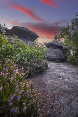 Doğa koruma alanı Broumovske steny, doğu Bohemya, Çek Cumhuriyeti