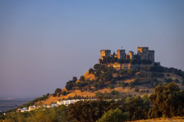 Endülüs 'teki Almodovar del Rio kalesi, İspanya