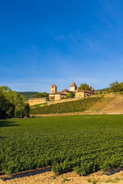 Chateau Pierreclos Castle Saone Loire Departement Burgundy France — Stock Photo, Image