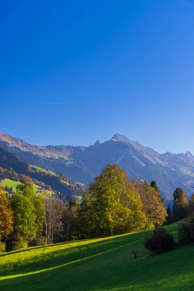 Panorama Tipico Vicino Sankt Gerold Bludenz Bregenzer Wald Bregenz Vorarlberg — Foto Stock