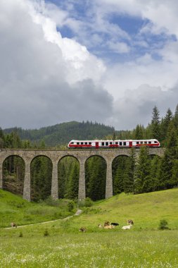 Telgart, Horehronie, Slovakya yakınlarındaki Chramossky köprüsü.