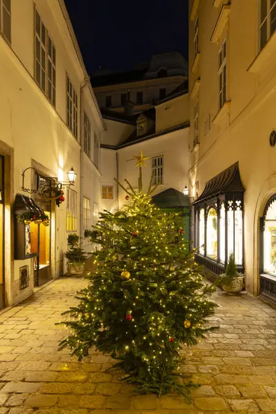 Viyana, Avusturya 'da Noel ağacı caddesi