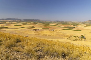 landscape of Castilla La Mancha near Consuegra, Spain