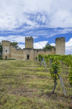 Sauternes şarap bölgesinde Budos Şatosu (Chateau de Budos), Gironde ayrılışı, Aquitaine, Fransa