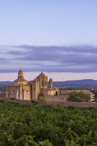Opactwo Królewskie Santa Maria Poblet Klasztor Cystersów Katalonia Hiszpania — Zdjęcie stockowe