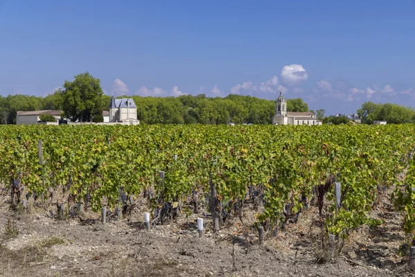 Vineyards Margaux Chateau Margaux Bordeaux Aquitaine France — Stock Photo, Image