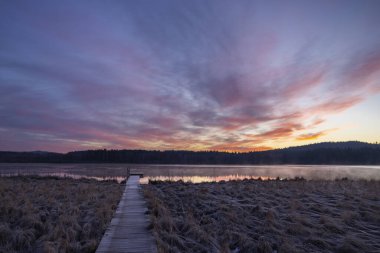 Doğa rezervi Olsina, Sumava Ulusal Parkı, Çek Cumhuriyeti