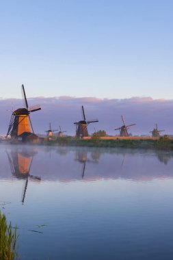 Traditional Dutch windmills in Kinderdijk - Unesco site, The Netherlands