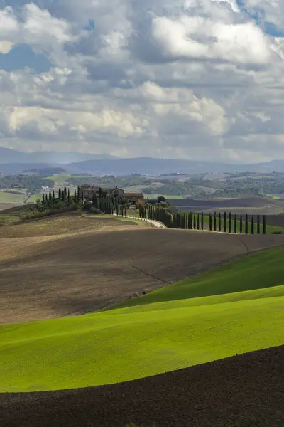 Krajobraz Toskanii Pobliżu Sieny Toskania Włochy — Zdjęcie stockowe
