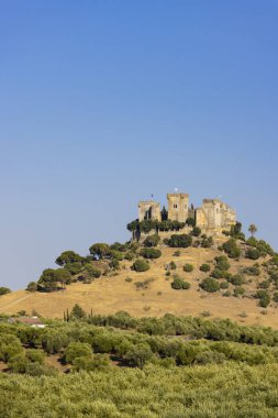 Endülüs 'teki Almodovar del Rio kalesi, İspanya