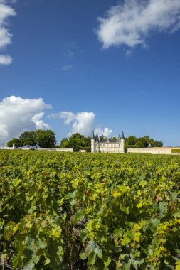 Şato Pichon Longueville Baron, Medoc, Fransa