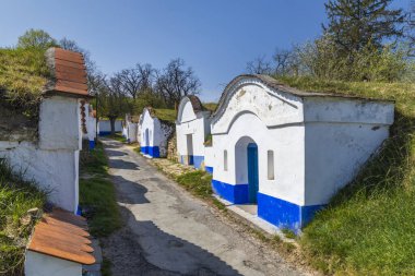 Petrov, Güney Moravya, Çek Cumhuriyeti yakınlarındaki Plze 'de tipik bir açık hava şarap mahzeni grubu