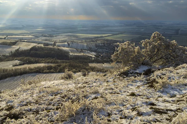 Paisaje Invernal Cerca Mikulov Región Palava Sur Moravia República Checa —  Fotos de Stock
