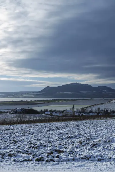 Зимний Пейзаж Палавой Около Сонберка Южная Моравия Чехия — стоковое фото