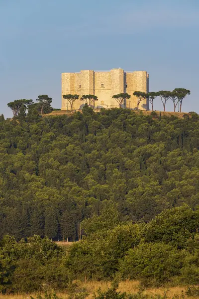 Castel Del Monte Castle Built Octagonal Shape Holy Roman Emperor — Stock Photo, Image