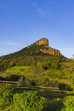 Üzüm bağı olan Solutre Kayası, Burgundy, Solutre-Pouilly, Fransa