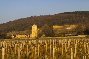 Chateau de Gevrey-Chambertin (kale), Burgundy, Fransa